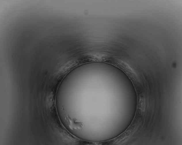 X0000097980318200804011750
