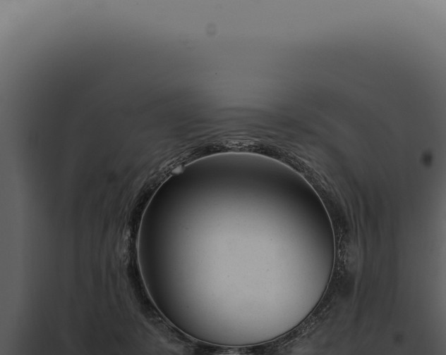 X0000097980319200804011750