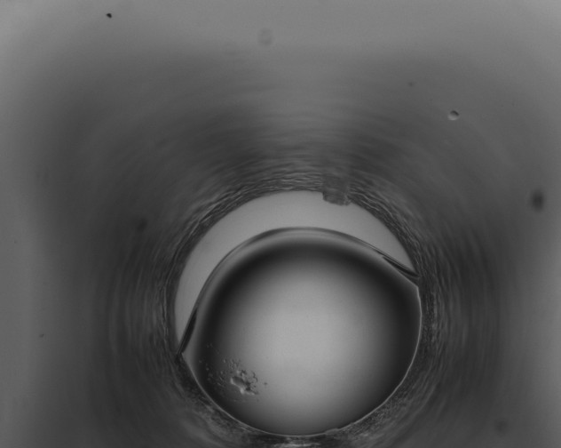 X0000097980320200804011750
