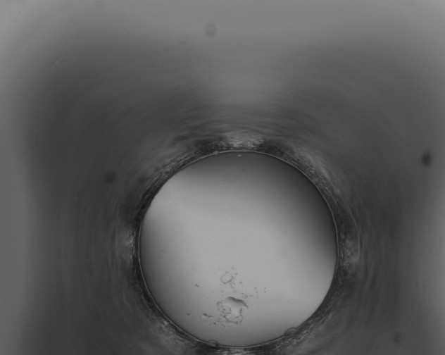 X0000097980321200804011750