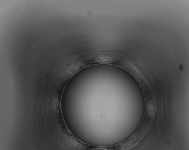 X0000097980322200804011750