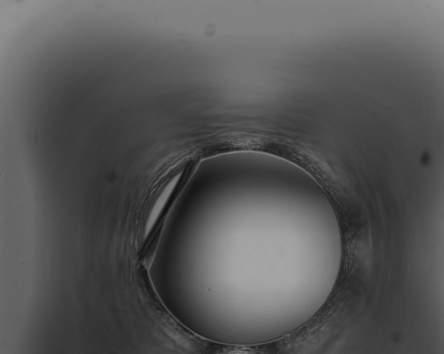 X0000097980325200804011750