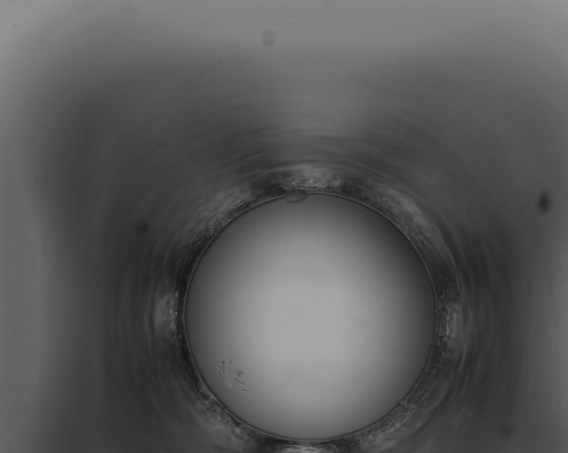 X0000097980326200804011750