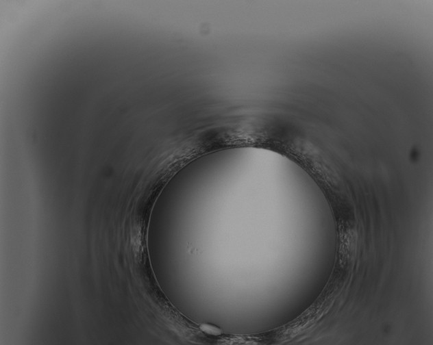X0000097980331200804011750