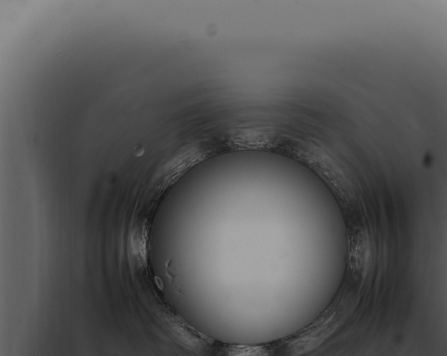 X0000097980334200804011750