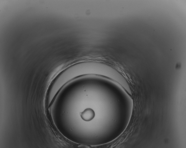 X0000097980340200804011750