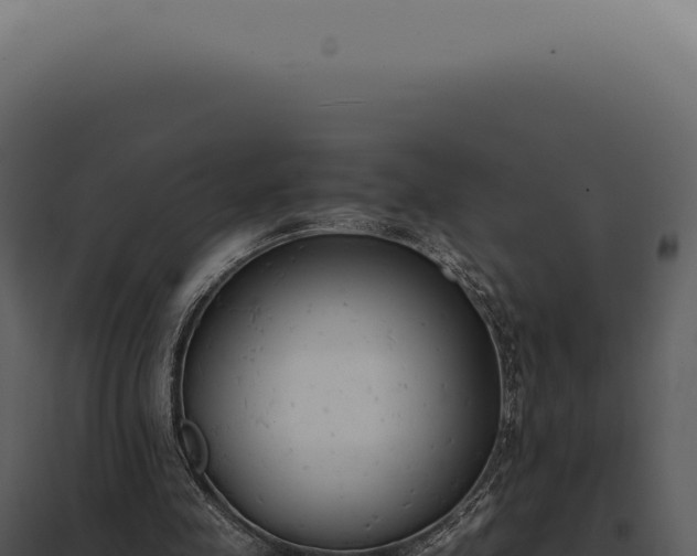 X0000097980341200804011750