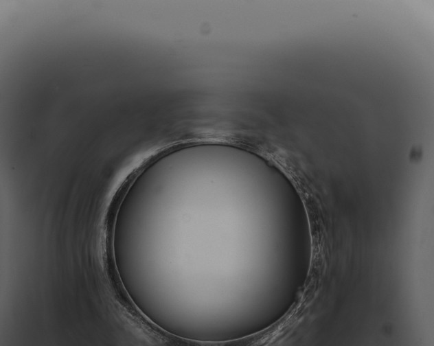 X0000097980342200804011750