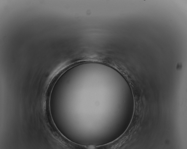 X0000097980344200804011750