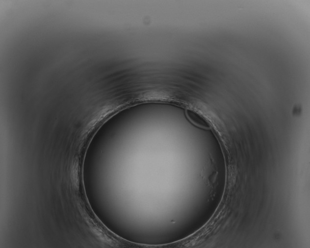 X0000097980345200804011750