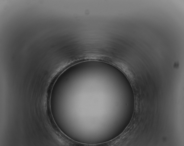 X0000097980346200804011750