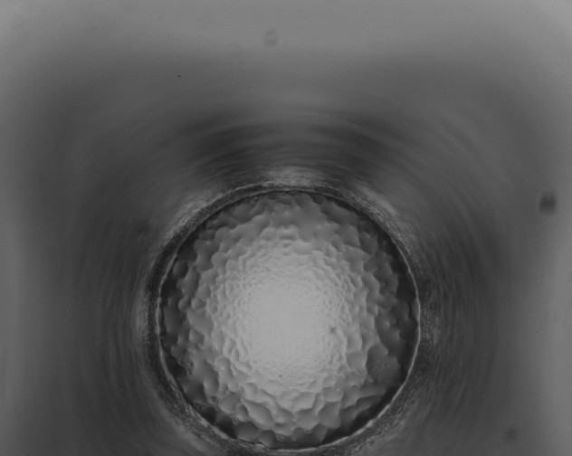X0000097980347200804011750