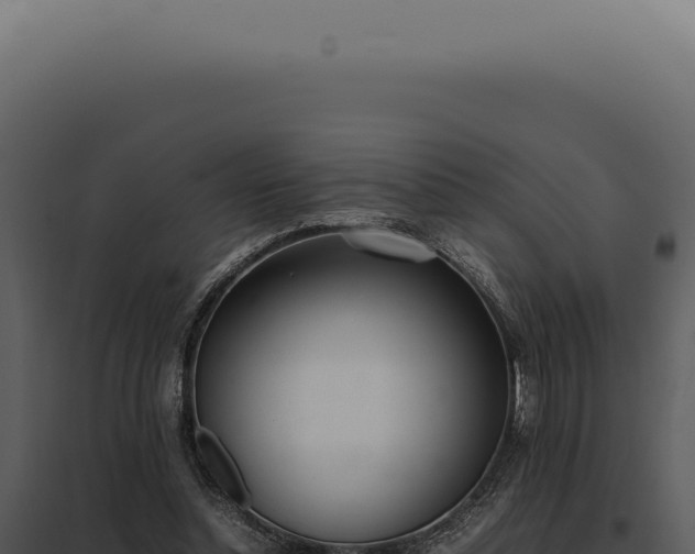 X0000097980348200804011750