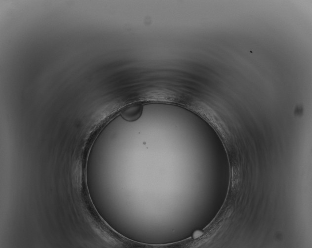 X0000097980349200804011750