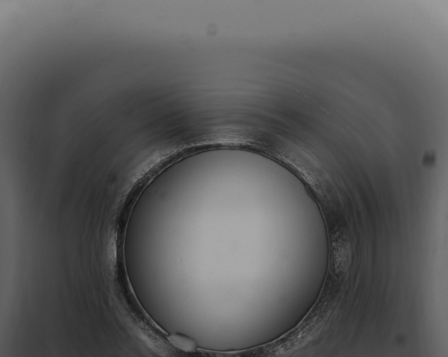 X0000097980350200804011750