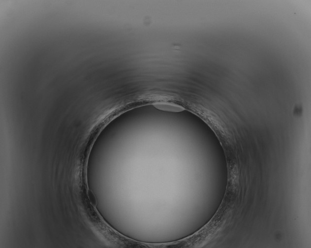 X0000097980352200804011750