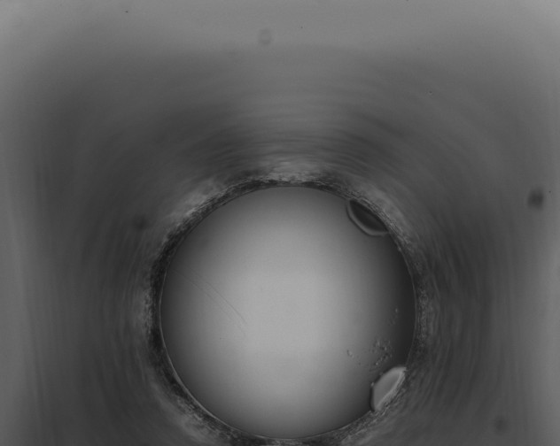 X0000097980354200804011750