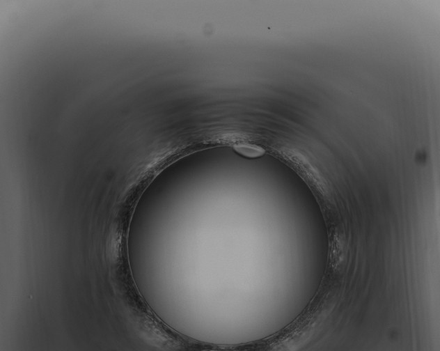 X0000097980355200804011750