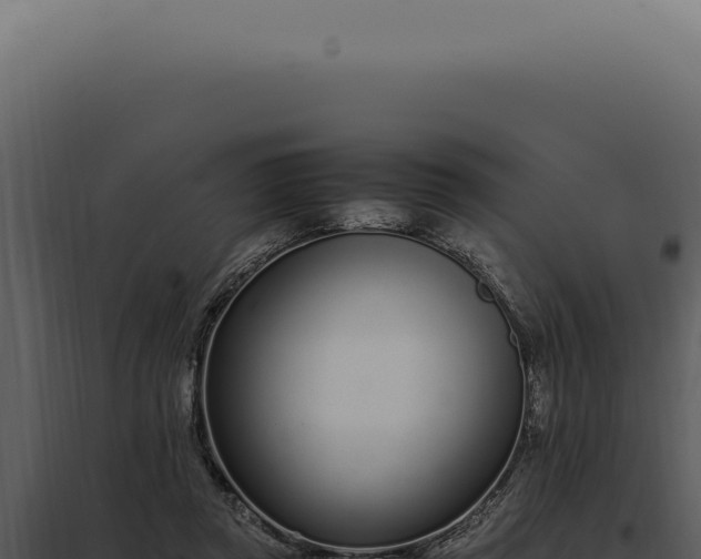 X0000097980357200804011750