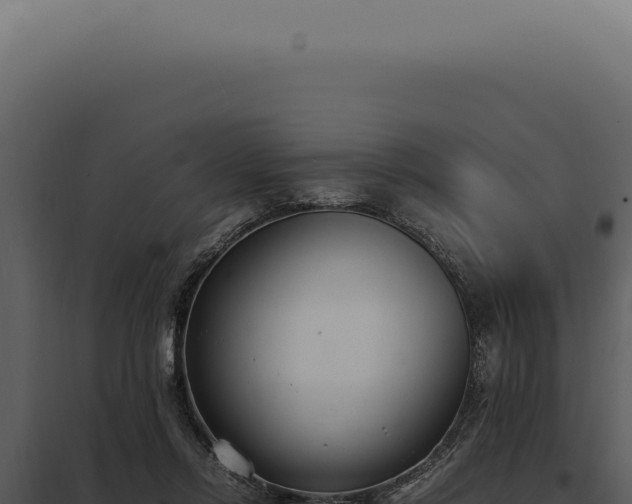 X0000097980358200804011750