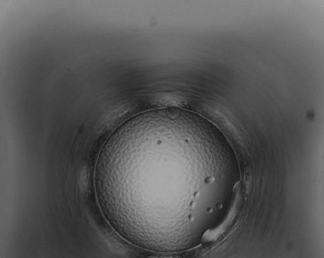 X0000097980359200804011750