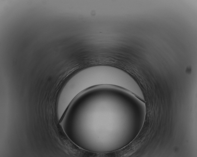 X0000097980360200804011750