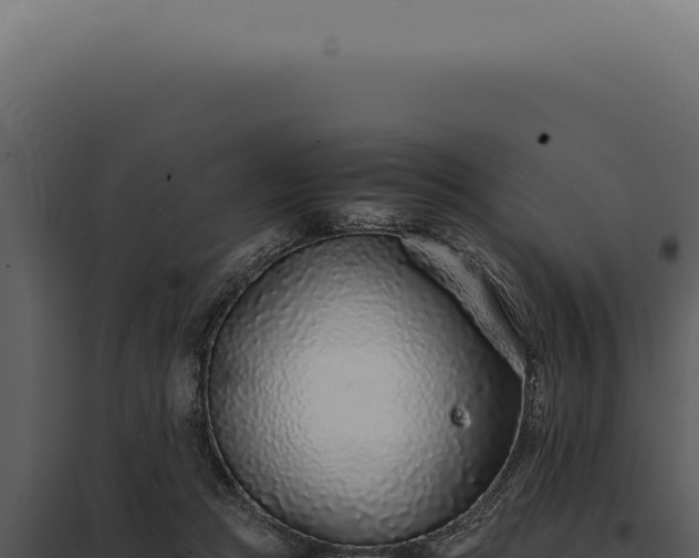 X0000097980361200804011750