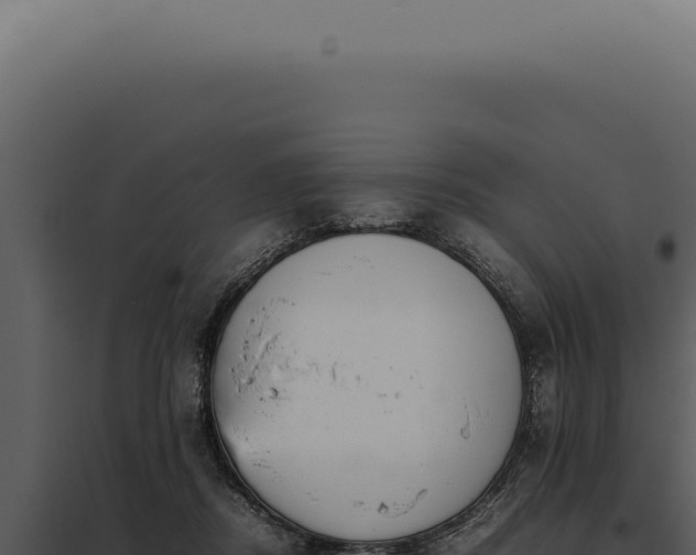 X0000097980362200804011750