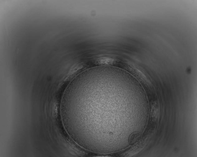 X0000097980363200804011750