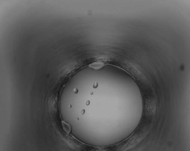 X0000097980364200804011750
