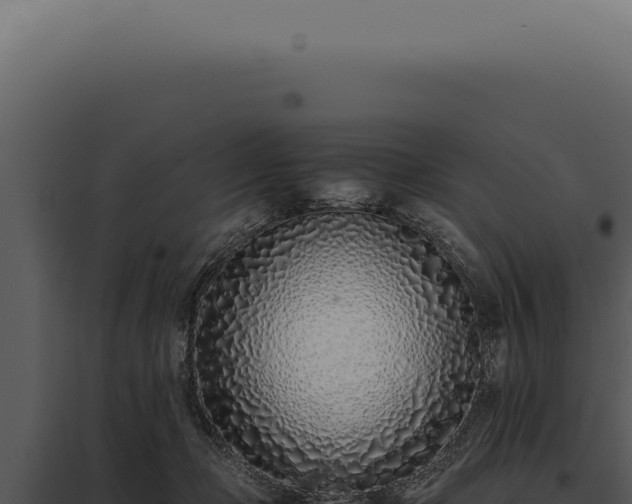 X0000097980365200804011750