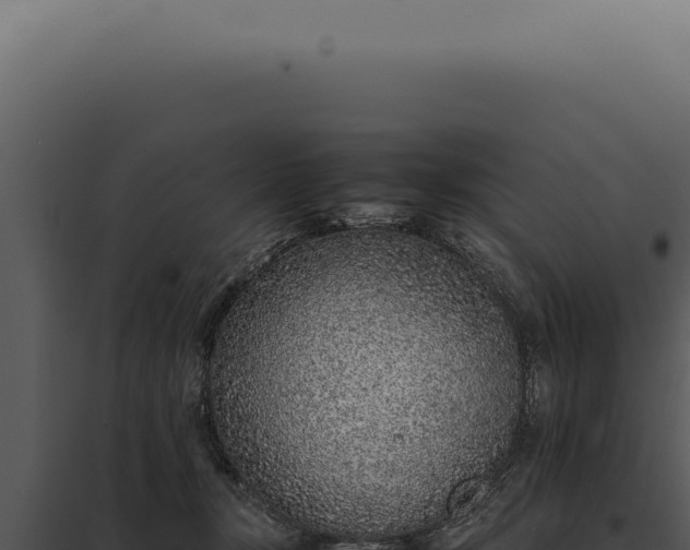 X0000097980367200804011750