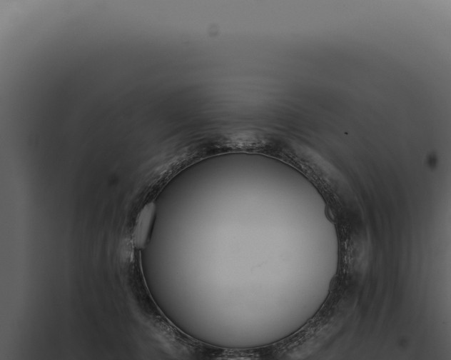 X0000097980368200804011750