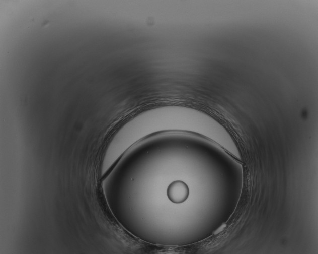 X0000097980370200804011750