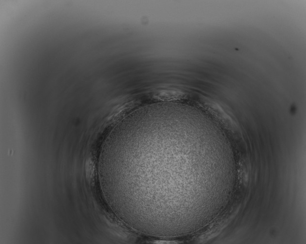 X0000097980371200804011750