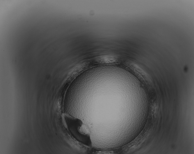 X0000097980373200804011750