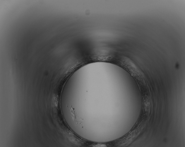 X0000097980374200804011750