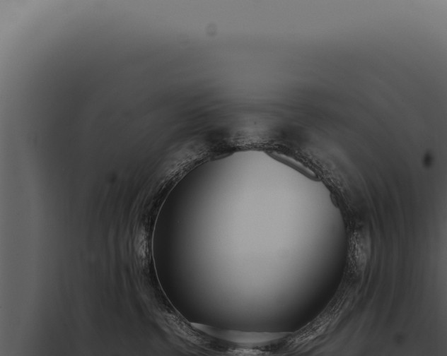 X0000097980380200804011750