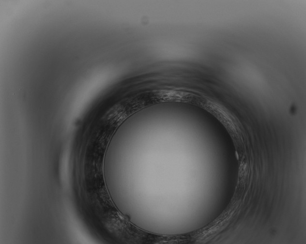 X0000097980381200804011750