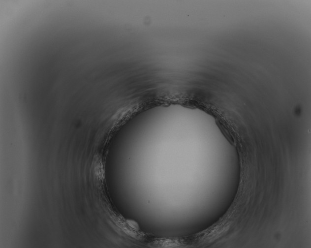 X0000097980384200804011750