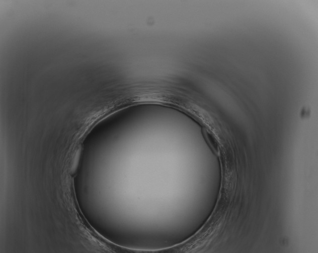 X0000097980385200804011750