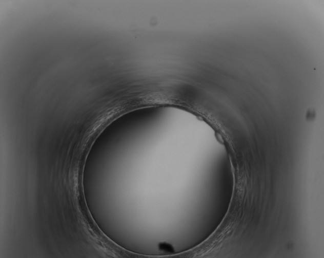 X0000097980386200804011750