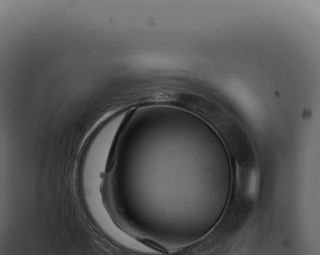 X0000097980387200804011750