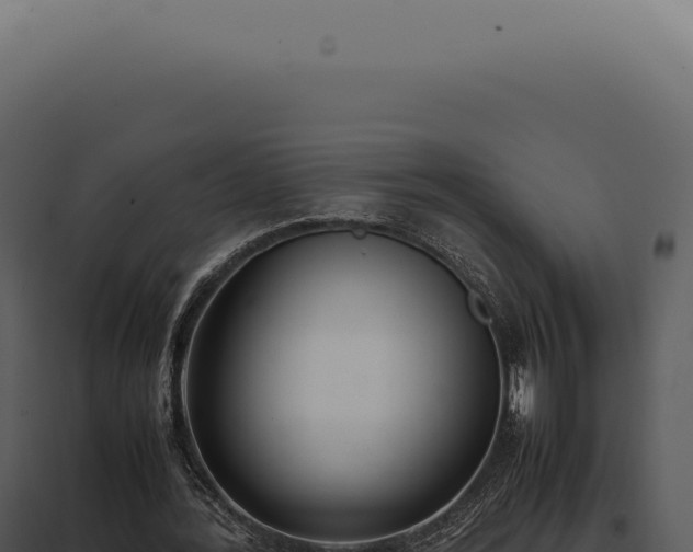 X0000097980388200804011750