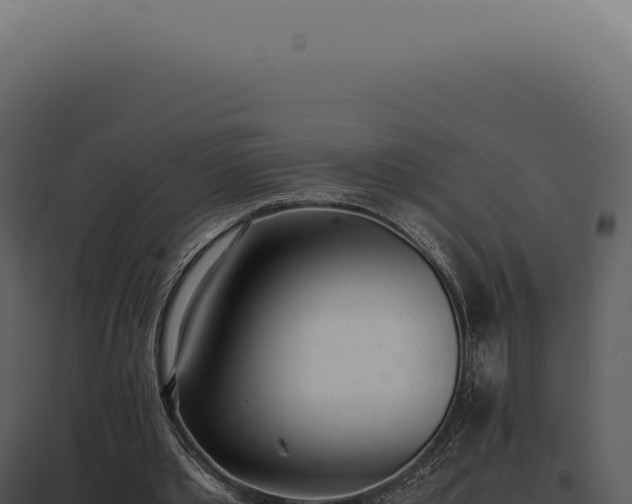 X0000097980389200804011750