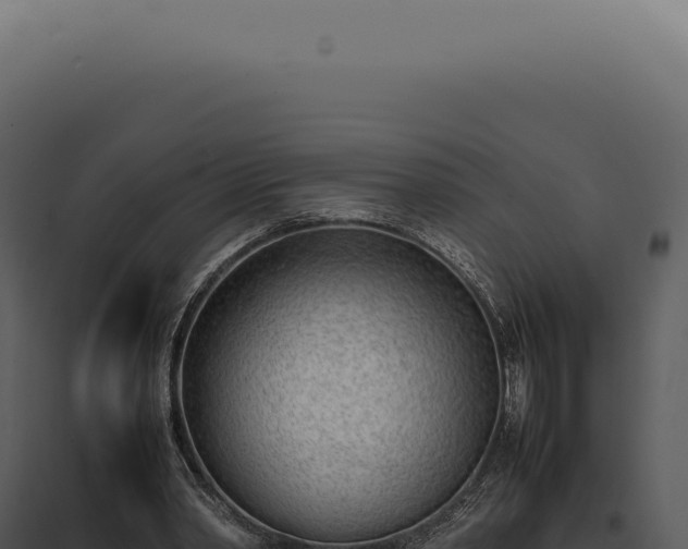 X0000097980390200804011750