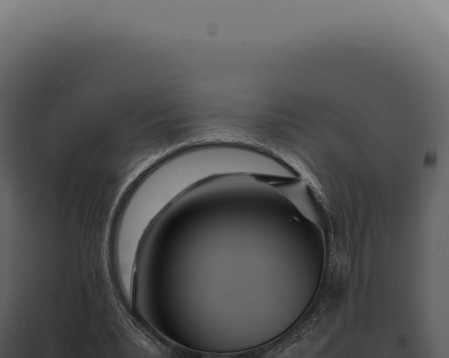 X0000097980391200804011749