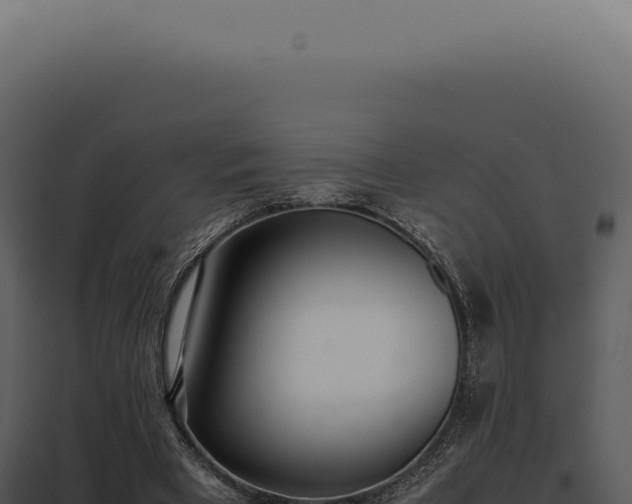 X0000097980393200804011749