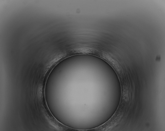X0000097980394200804011749