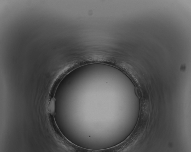 X0000097980395200804011749